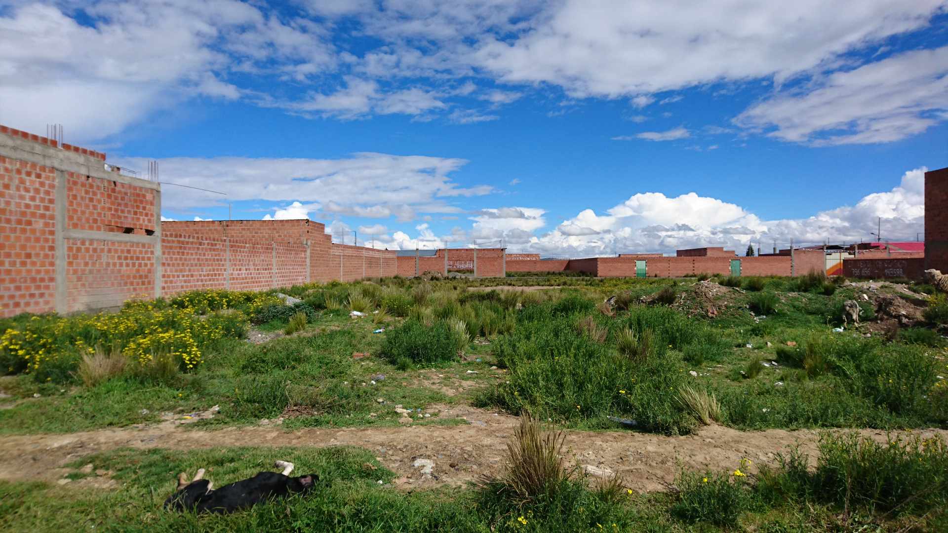 Terreno en VentaEl Alto, distrito 7 a lado del Centro De Mantenimiento De Senkata De La Armada Boliviana Foto 2