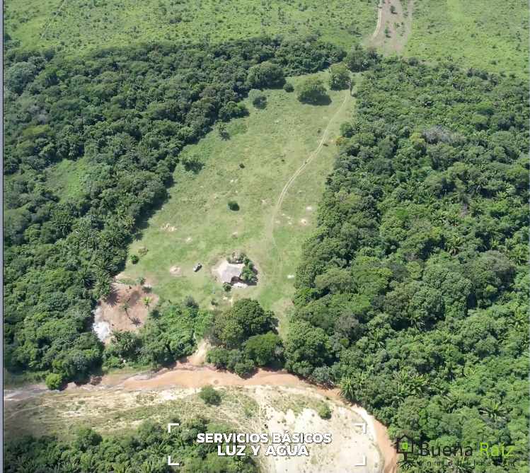 Terreno en VentaUrubó zona Norbélgica atrás de Puerto Santa Cruz.  Foto 9