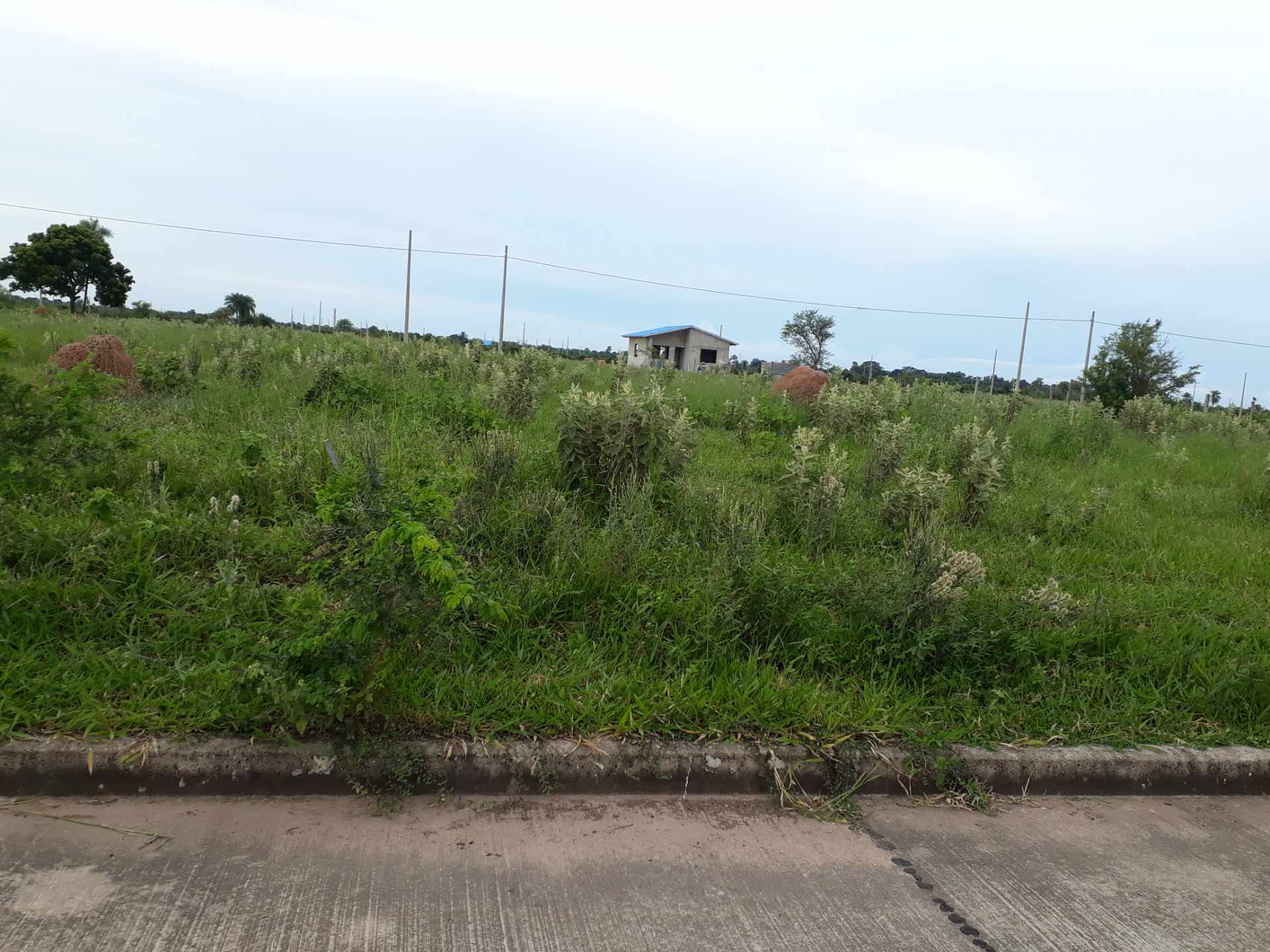 Terreno en VentaSatelite Norte -Pentaguazu 3    Foto 3