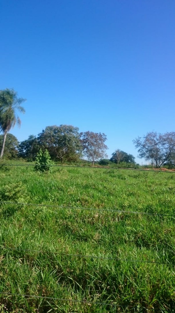 Terreno en VentaROBORÉ frente a rotonda de ingreso y gasolinera, sobre Carretera Bioceánica    Foto 19