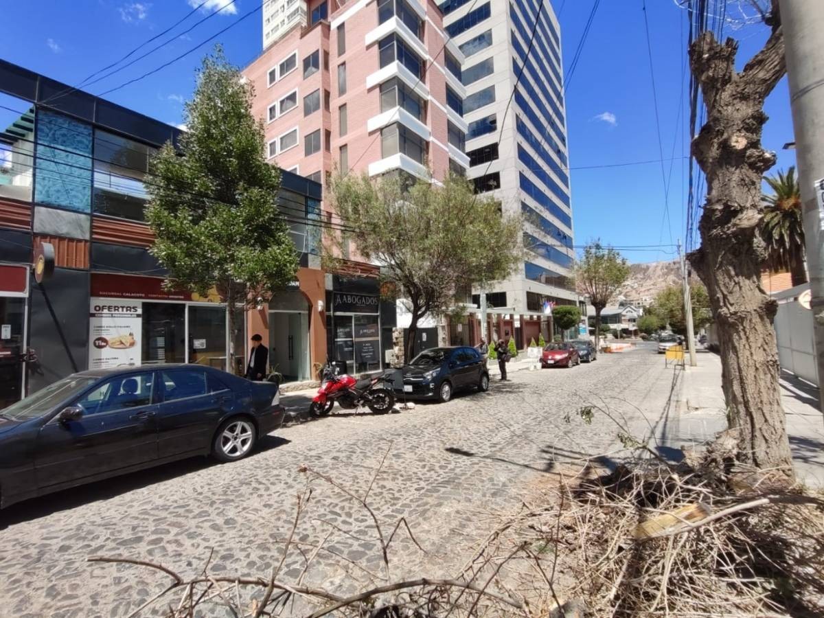 Oficina CALACOTO, CALLE 11 Foto 16