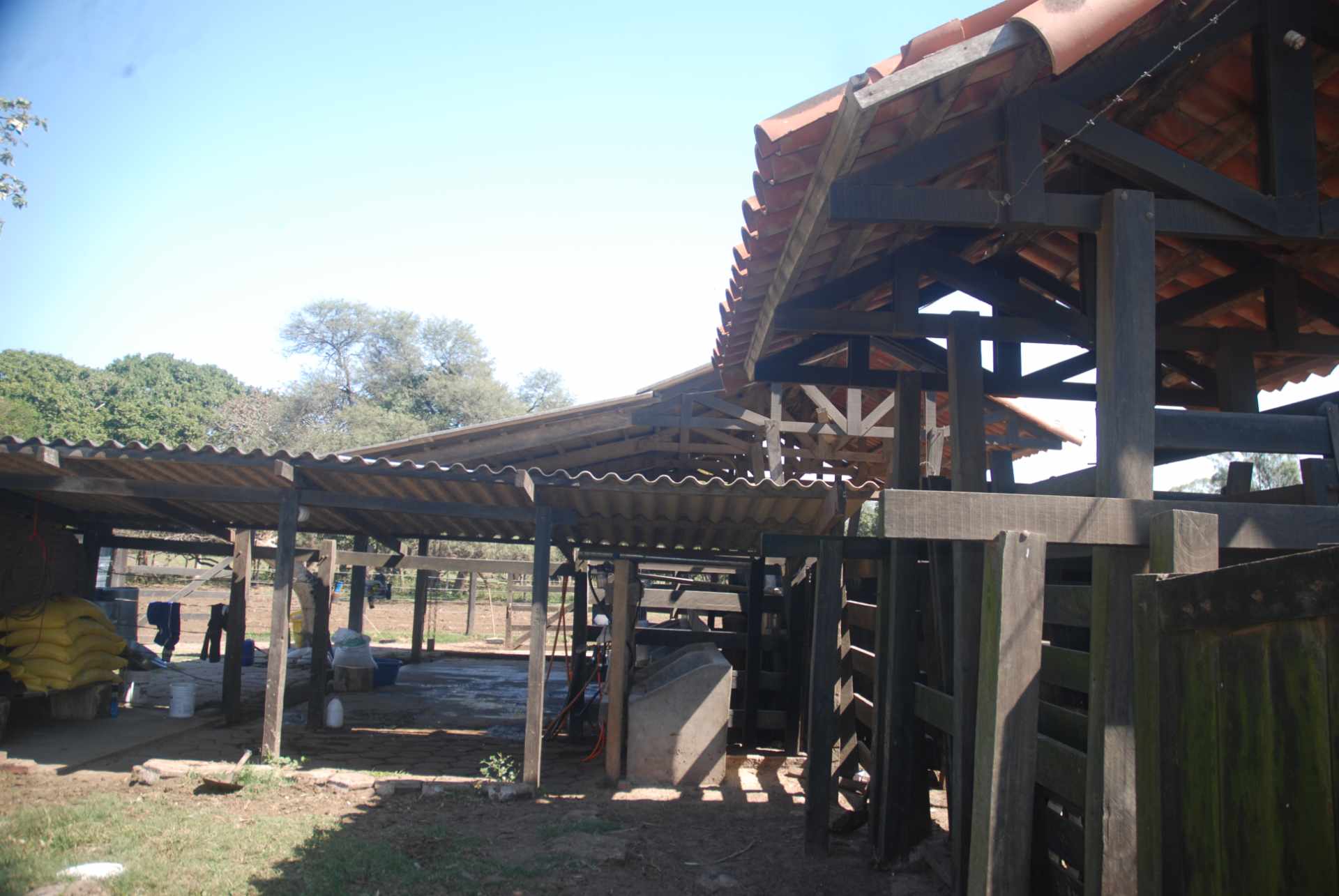 Quinta propiedad agrícola en Venta A 20mn de Warnes  vendo una Hermosa  Lecheria productiva  de 56ha  Foto 39