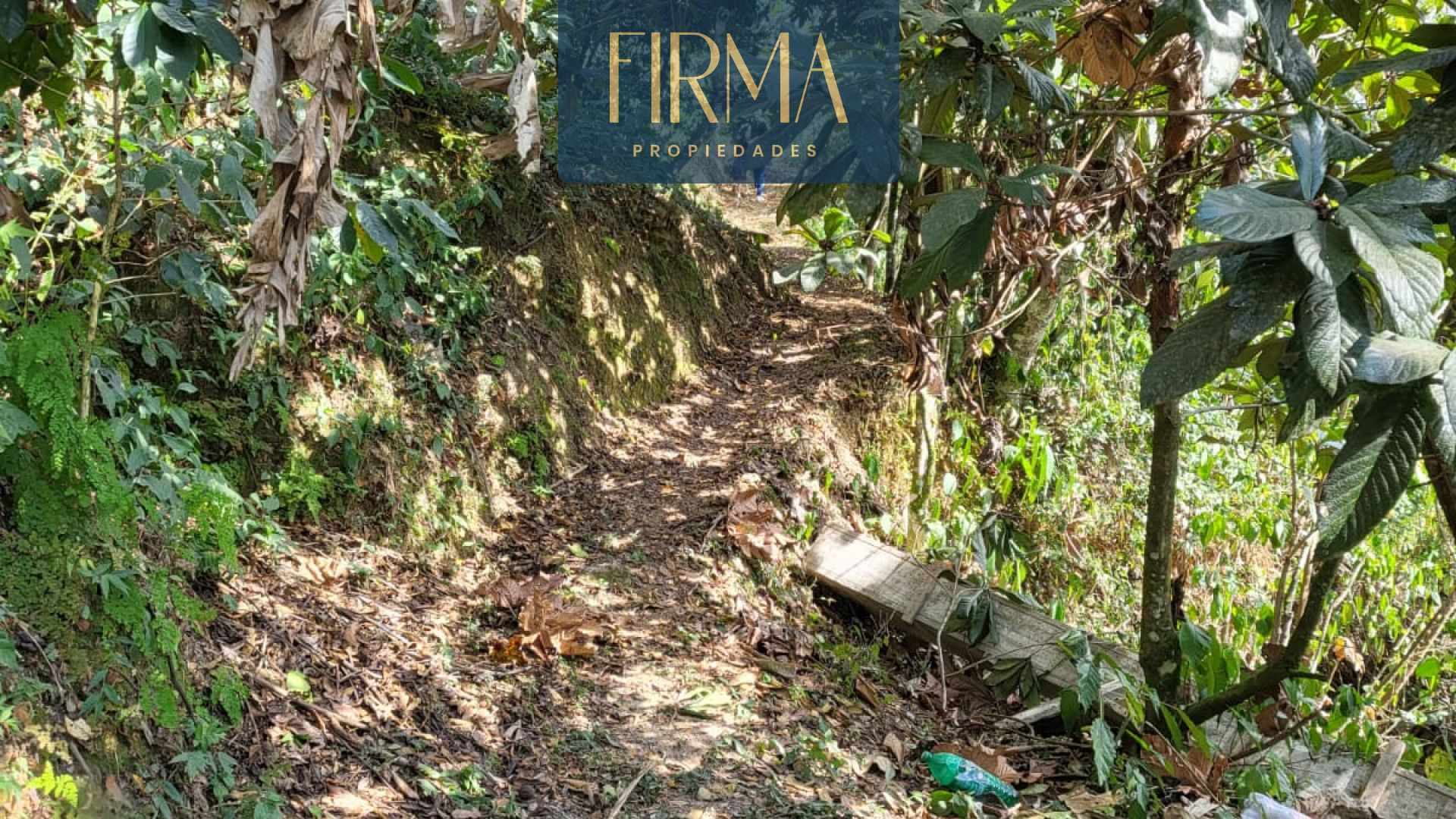 Terreno en Coroico en Coroico    Foto 9