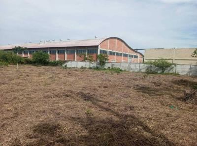 8e180117b961f9a3100fab18806a0a9a40ea82