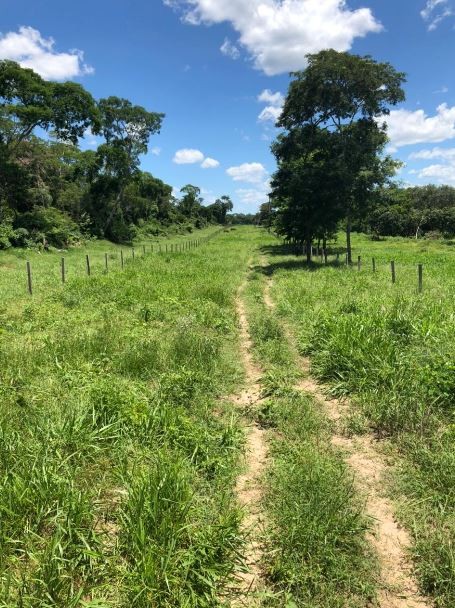 Quinta propiedad agrícola en VentaSan José de Chiquitos - Propiedad Ganadera de 1.726 Has    Foto 6