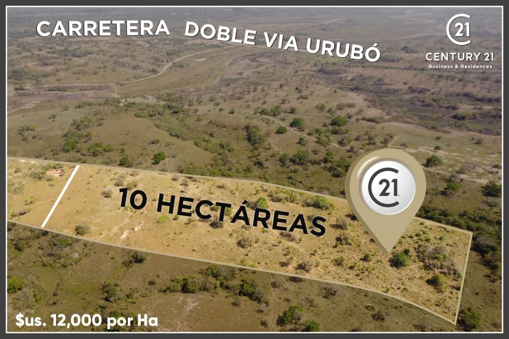 Quinta propiedad agrícola en Urubó en Santa Cruz de la Sierra    Foto 7