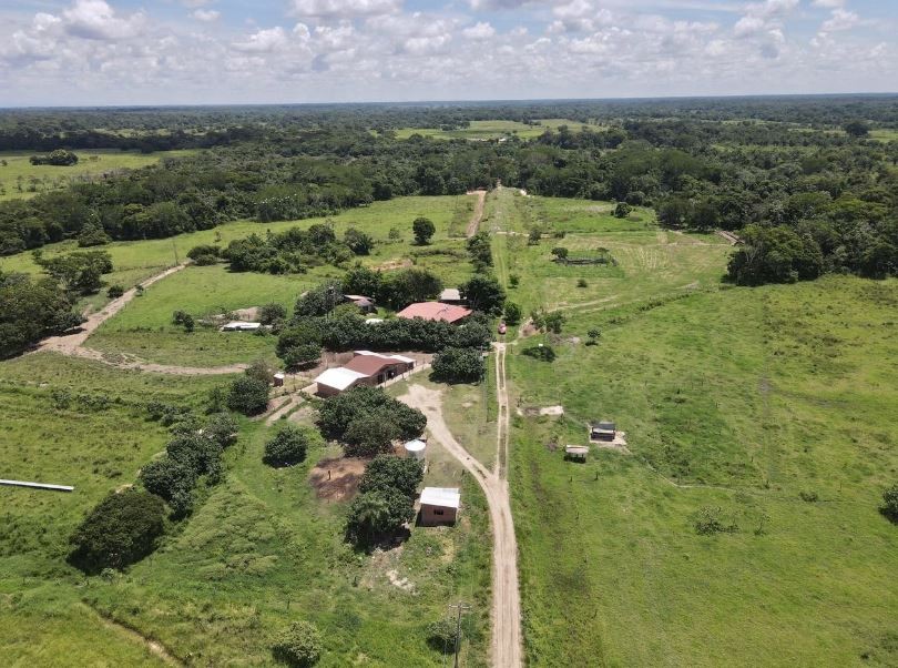 Quinta propiedad agrícola en VentaPropiedad Ganadera (20 Hectáreas Urbanizables) de 178 Hectáreas en Buen Retiro (Zona Norte) Foto 13