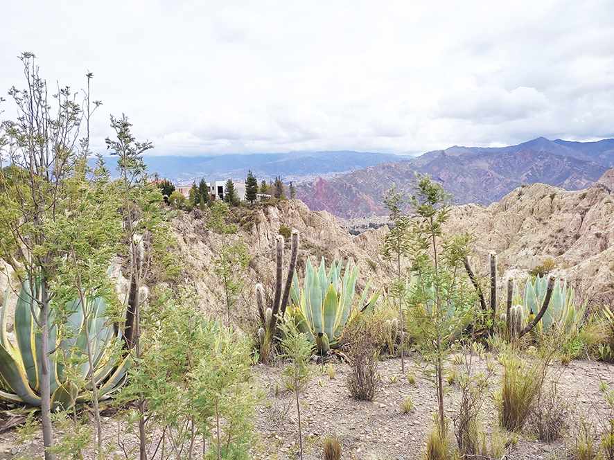 En Venta a $us 140,000 Foto 3