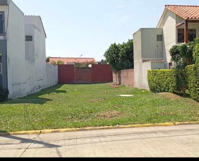 8e3d01377003e82930b91db2dd7c92da431842