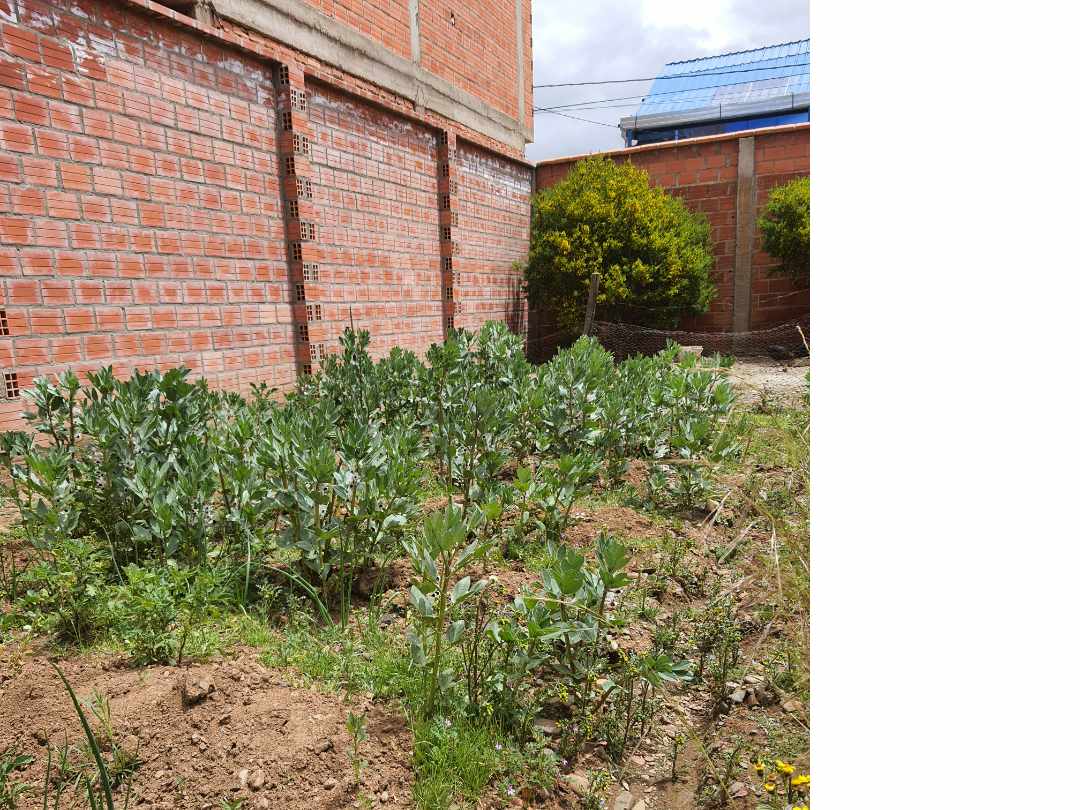 Terreno en VentaAvenida Madre de Dios entre avs Kantuta y Argelia Foto 3