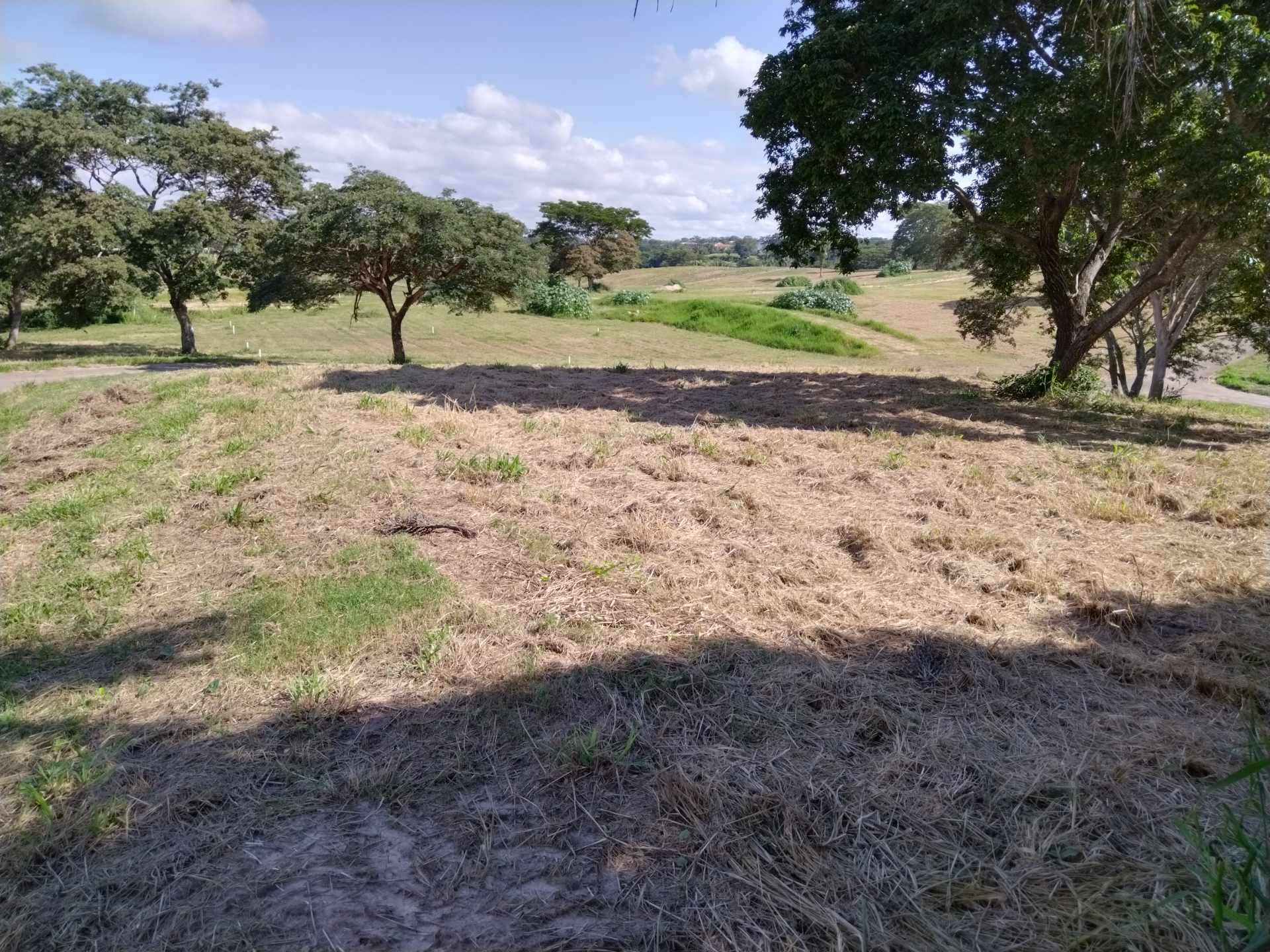 Terreno en VentaCOLINAS DEL URUBO LAS PALMERAS/SECTOR LOMERÍO    Foto 7