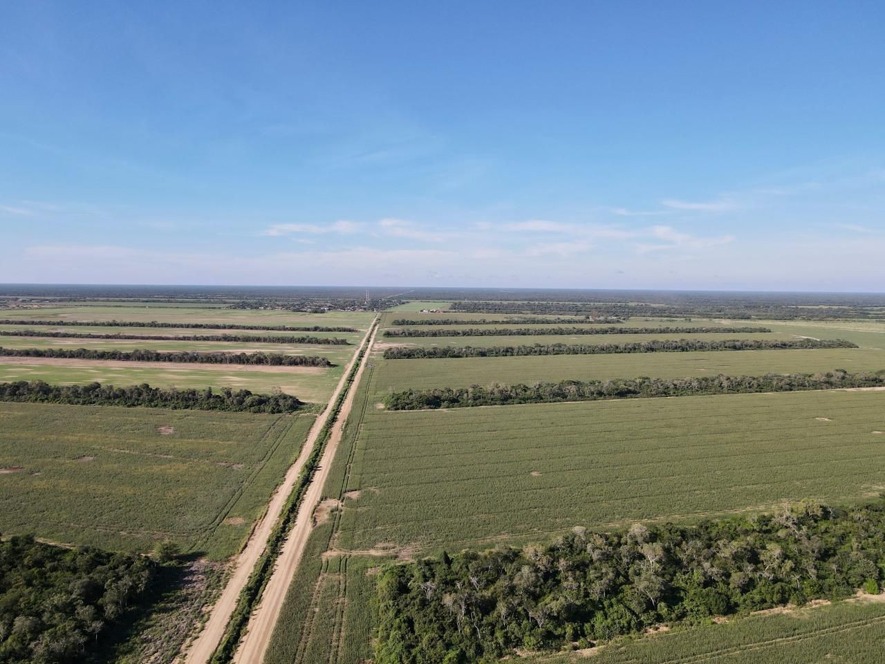 Quinta propiedad agrícola en VentaEn Venta: 2.250 Hectáreas Agricola - Ganaderas en Tuna sobre Carretera    Foto 3