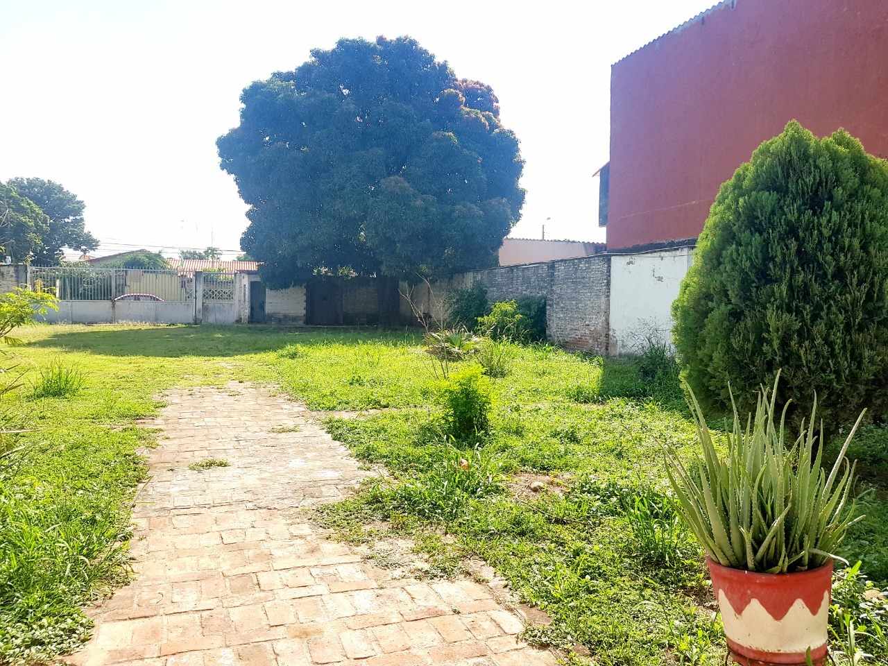 Terreno en Pampa de la isla en Santa Cruz de la Sierra    Foto 4