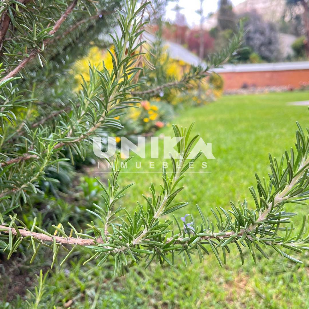 Casa en Alquiler☀️🏡 HERMOSA CASA CON JARDÍN EN ALQUILER AMOBLADA Y EQUIPADA 4 dormitorios 6 baños 3 parqueos Foto 22