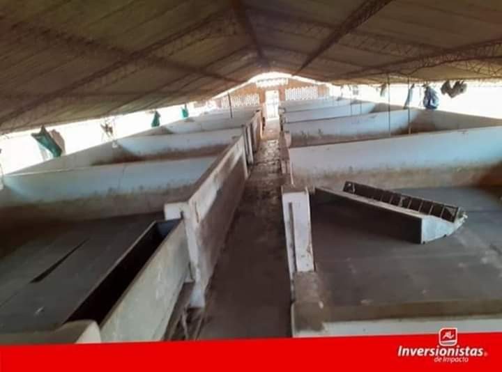 Quinta propiedad agrícola en Carretera Cotoca en Santa Cruz de la Sierra    Foto 8