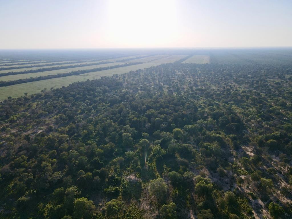 Quinta propiedad agrícola en VentaEn Venta: 2.300 Hectáreas Agrícola - Ganadera en Tres Cruces Foto 4
