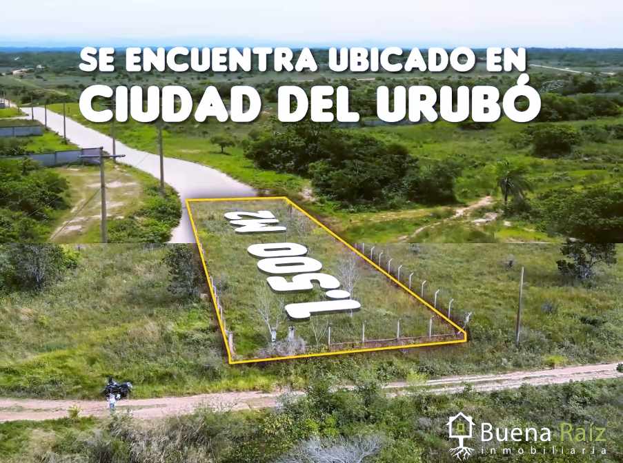 Terreno en VentaCiudad del Urubó (Techo) a 15 minutos del nuevo Puente Cristóbal Roda    Foto 9