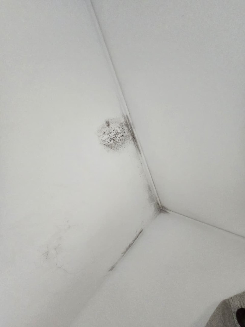 Casa en Carretera Norte en Santa Cruz de la Sierra 3 dormitorios 2 baños  Foto 16