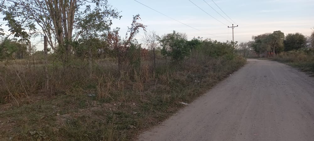 Terreno en VentaLocalidad: Puerto Suárez - Barrio: 3 de Mayo
Puerto Suárez - Bolivia. Foto 11