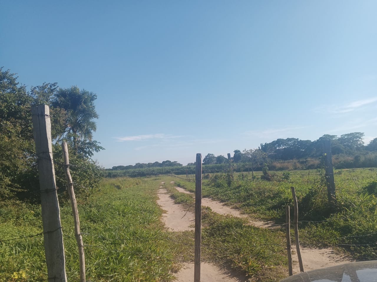 Terreno en Zona Nueva Santa Cruz en Santa Cruz de la Sierra    Foto 6