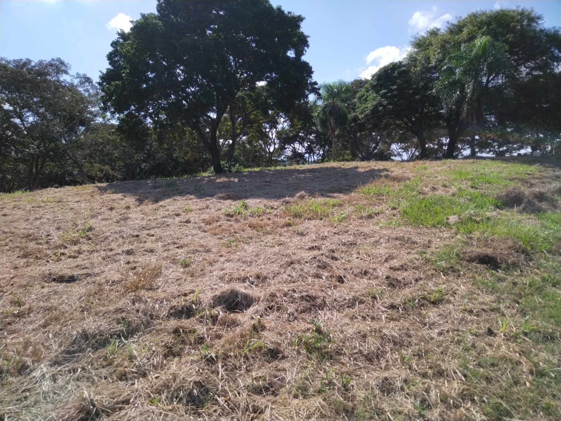 Terreno en VentaCOLINAS DEL URUBO LAS PALMERAS/SECTOR LOMERÍO    Foto 5