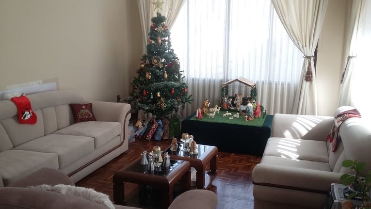 Departamento Bajo Seguencoma, Zona Sur Foto 1