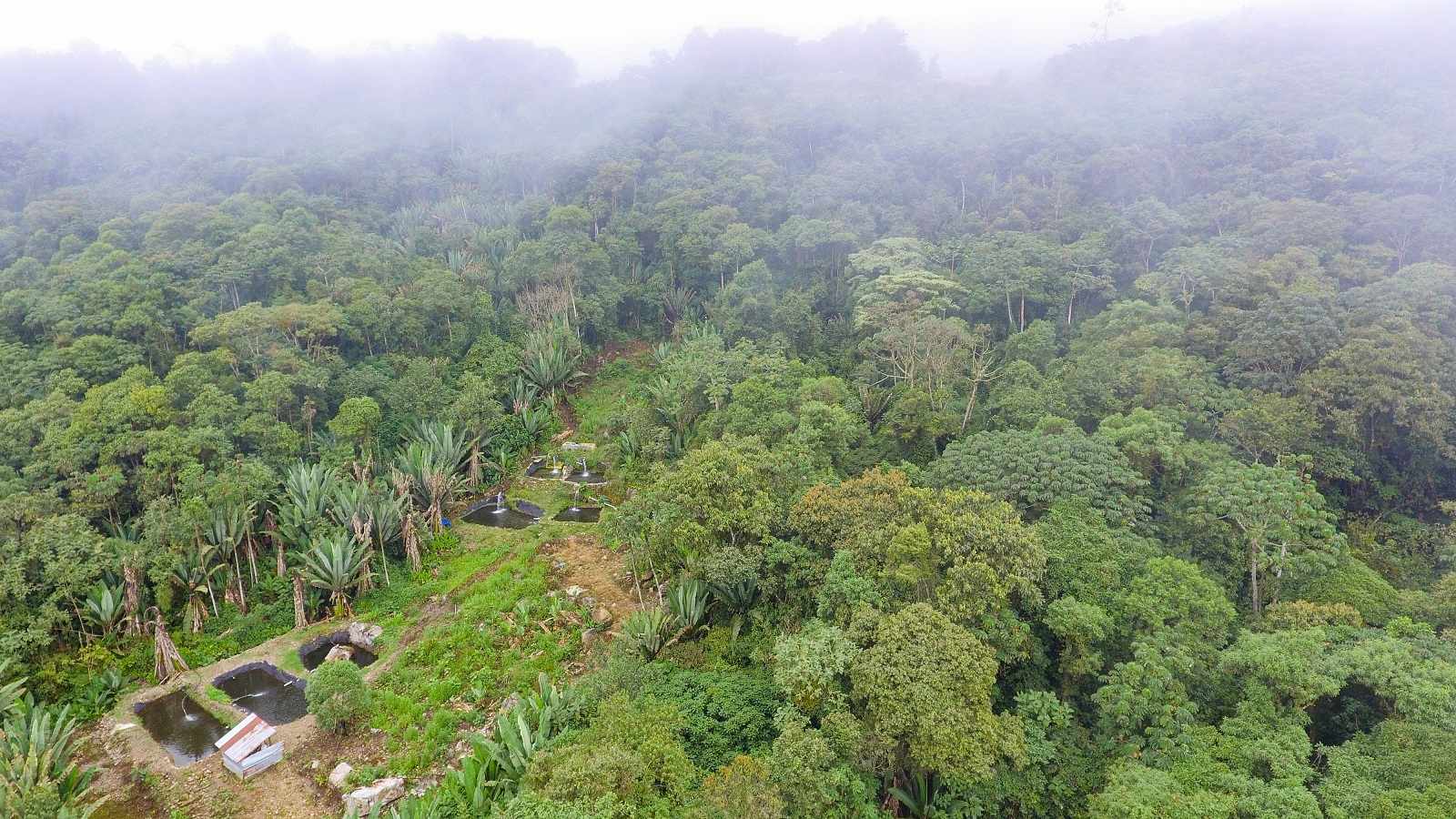Quinta propiedad agrícola en Villa Tunari (Chapare) en Cochabamba    Foto 3