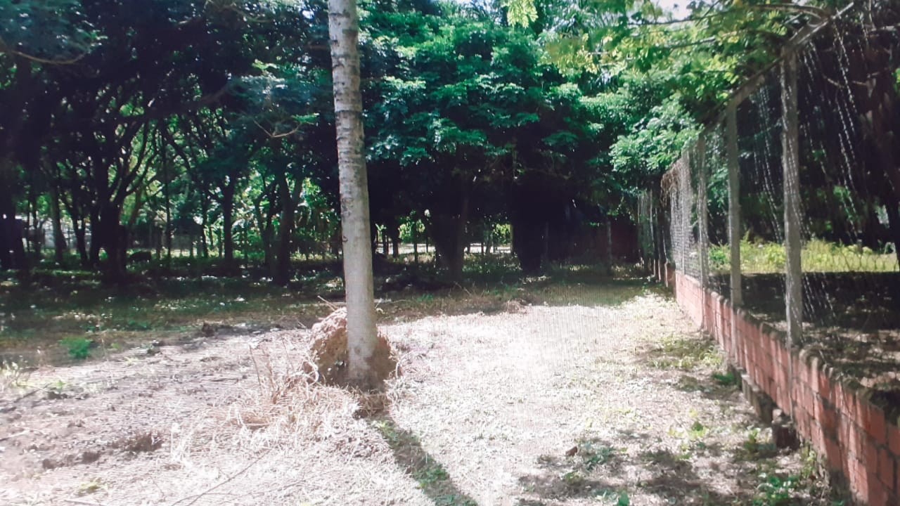 Terreno TERRENO EN VENTA  DE USO MULTIPLE 
en el Municipio de Warnes Comunidad Santa Rosita. Foto 7