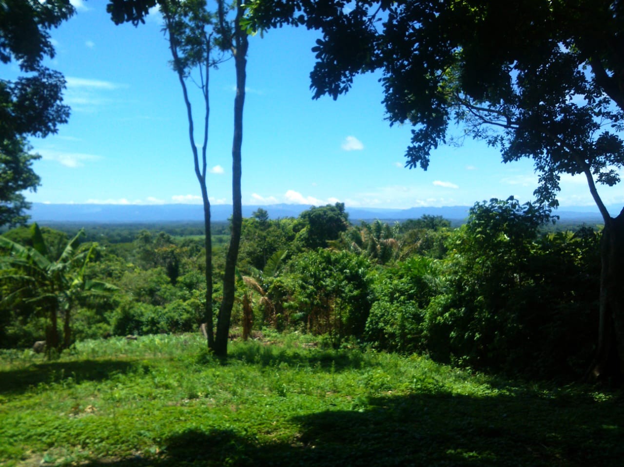 Terreno Buenavista - Resort Quintas Buena Vista Foto 9