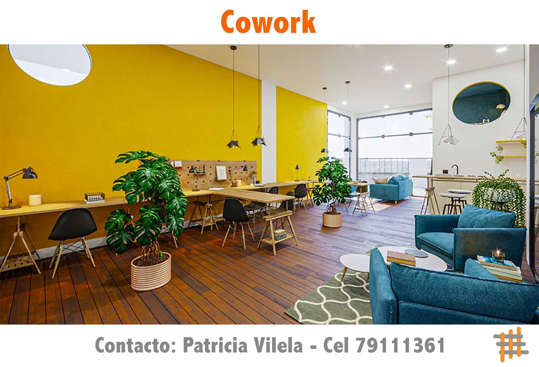 Departamento en Venta¡OPORTUNIDAD ÚNICA!
DEPARTAMENTOS EN VENTA EN ACHUMANI 1 dormitorios 1 baños 1 parqueos Foto 18