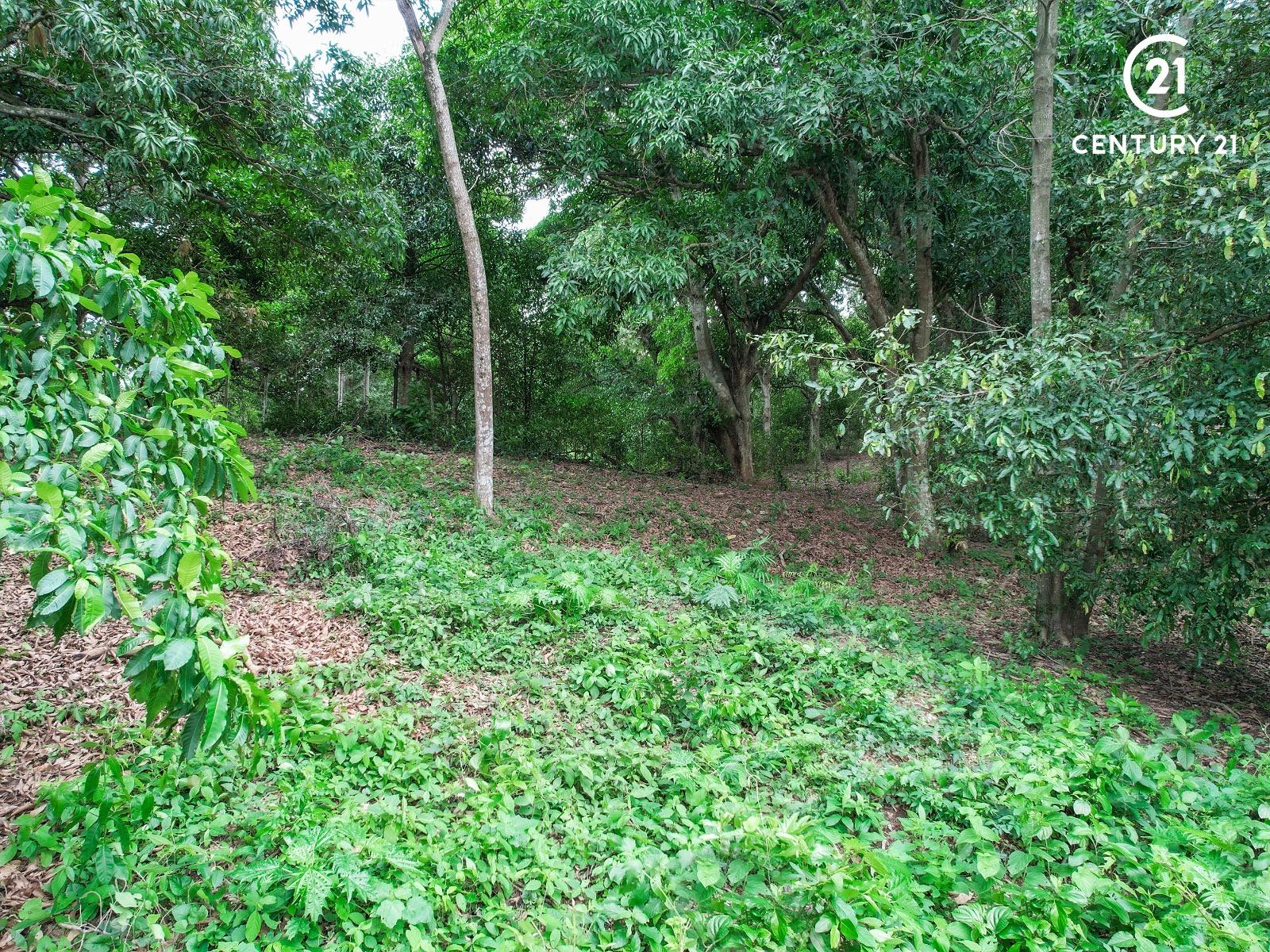 Terreno en Urubó en Santa Cruz de la Sierra    Foto 2