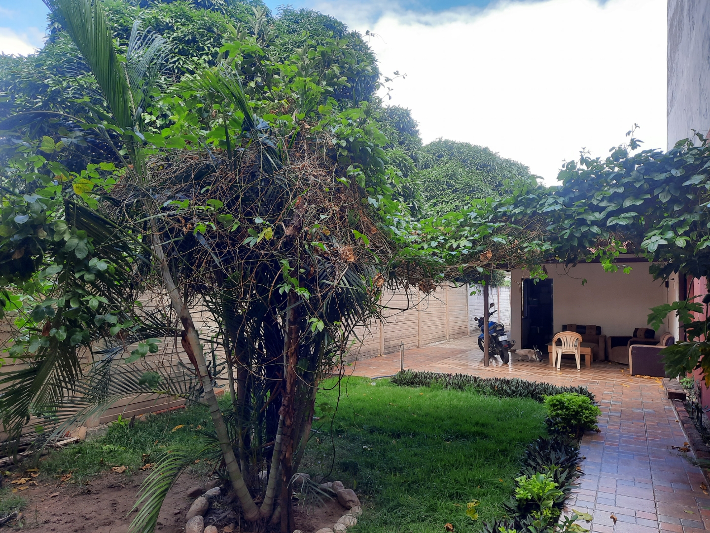 Casa en Entre 3er y 4to anillo Este en Santa Cruz de la Sierra 3 dormitorios 1 baños  Foto 5