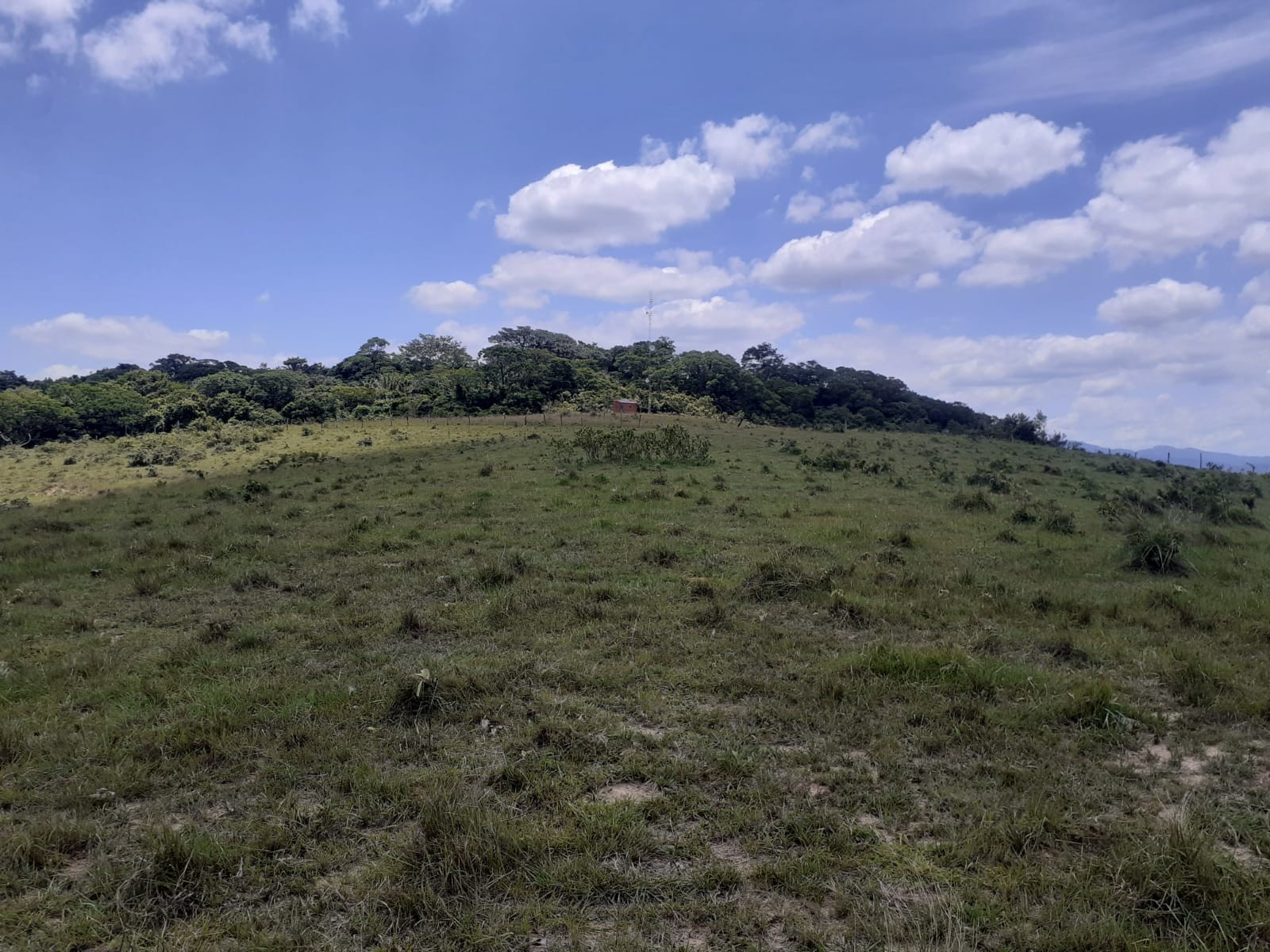 Quinta propiedad agrícola en Doble vía La Guardia en Santa Cruz de la Sierra    Foto 18