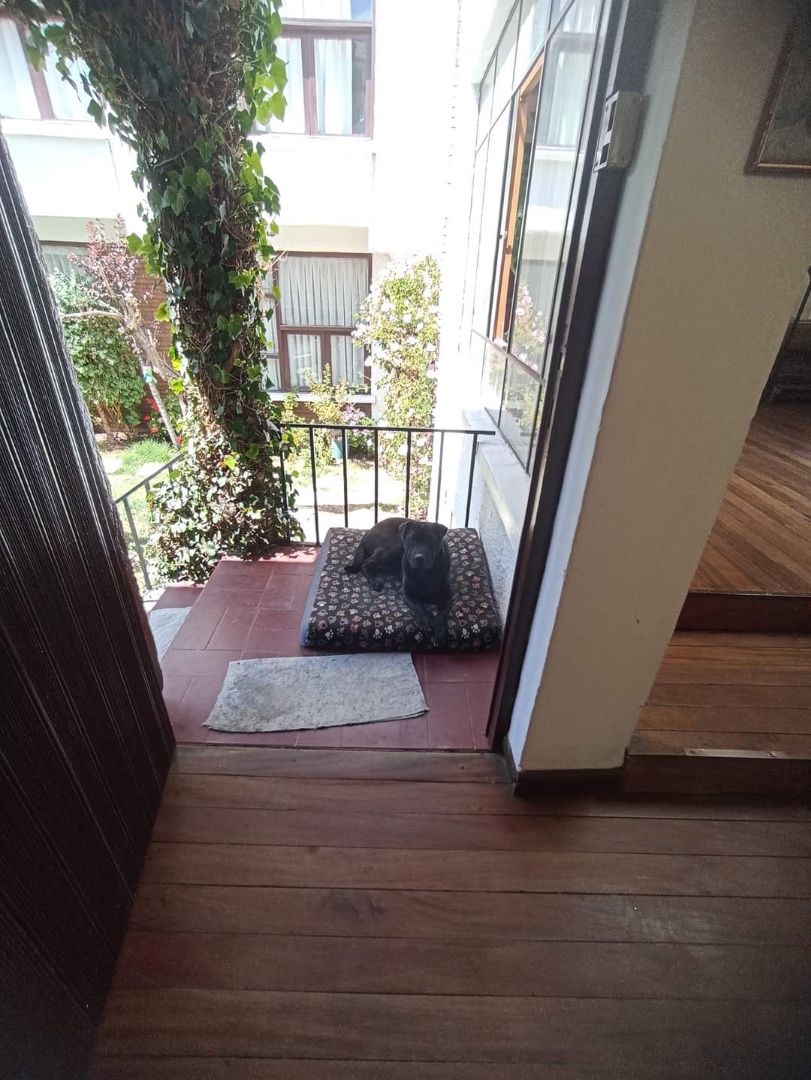 Casa SOPOCACHI C. VINCENTI Foto 9