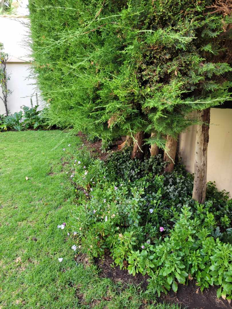 Casa CALACOTO  Foto 21