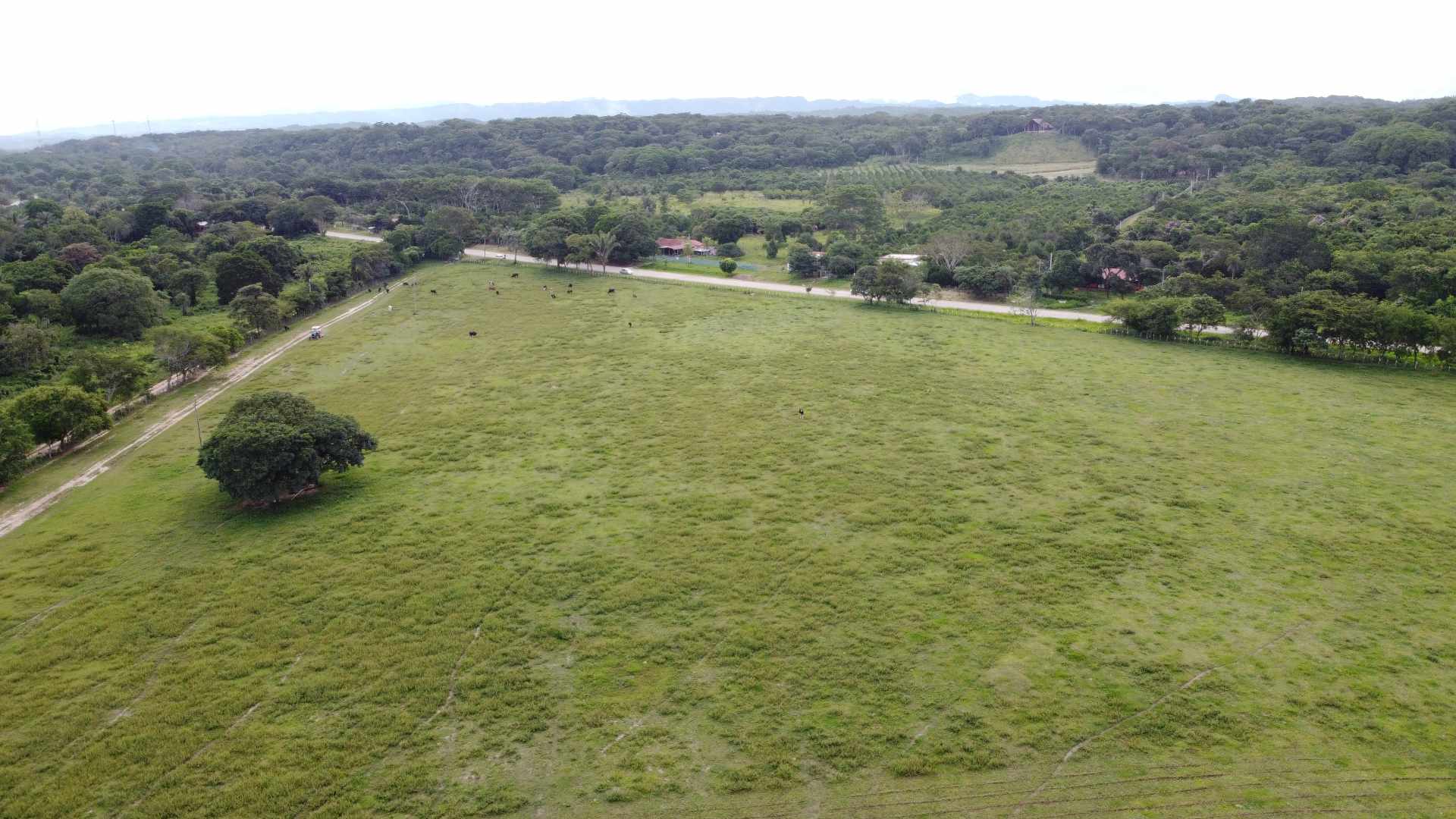 Terreno en VentaSOBRE CARRETERA A PORONGO 1000 MTS ANTES DE LLEGAR AL PUEBLO    Foto 8