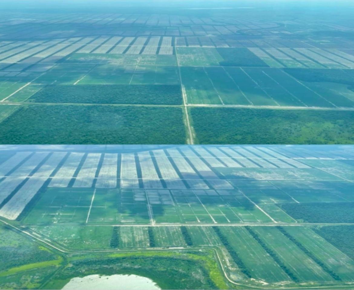Quinta propiedad agrícola En Venta Propiedad Agrícola con Potencial Ganadero en Marban - Beni Foto 12