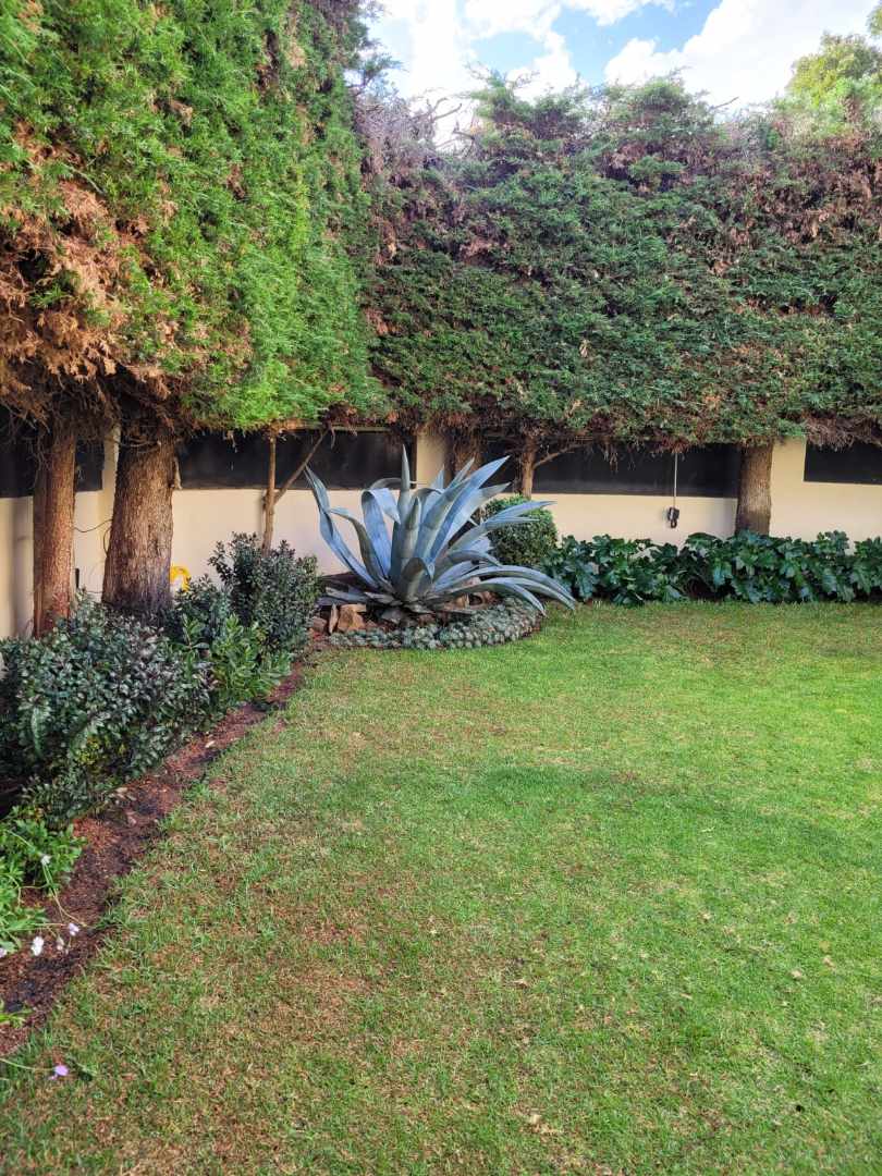 Casa CALACOTO  Foto 26