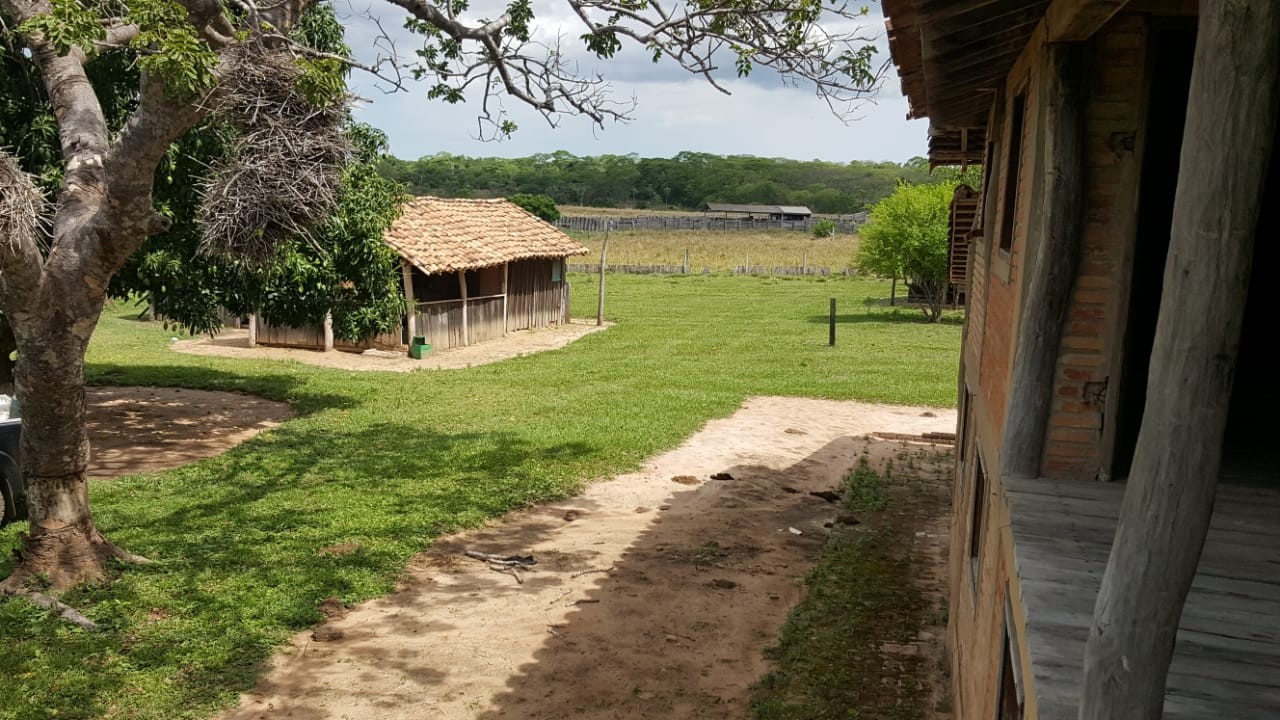 Quinta propiedad agrícola en VentaEn Venta 546 Hectáreas Ganaderas y Potencialmente Agrícolas en San Ignacio de Velasco    Foto 11