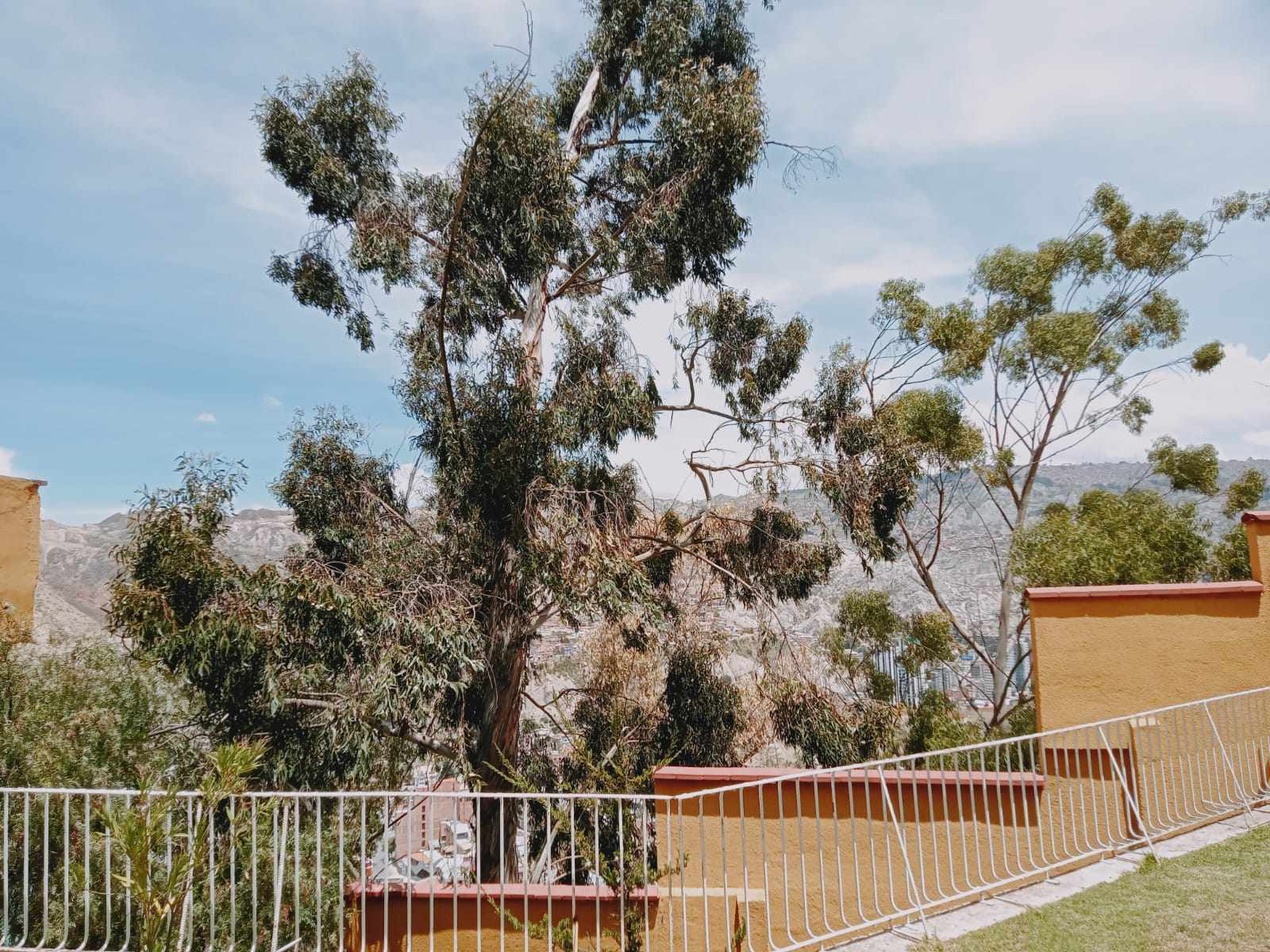 Casa en San Alberto en La Paz 4 dormitorios 6 baños 2 parqueos Foto 4