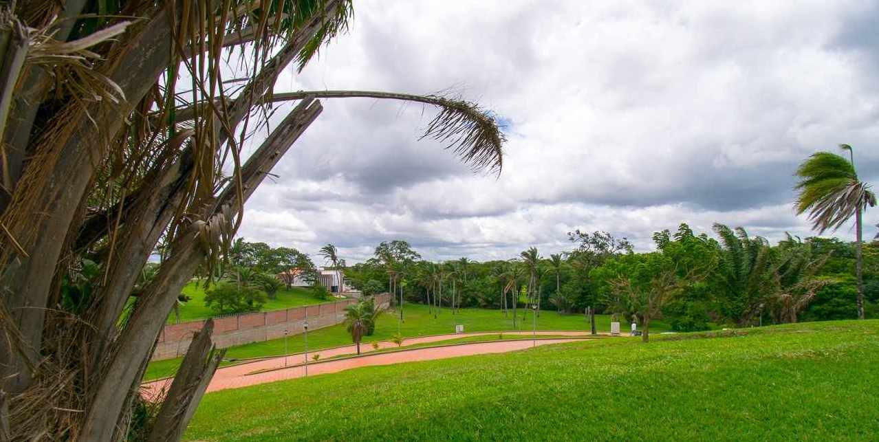 Terreno en VentaBolivia, Santa Cruz, Urubo Foto 1