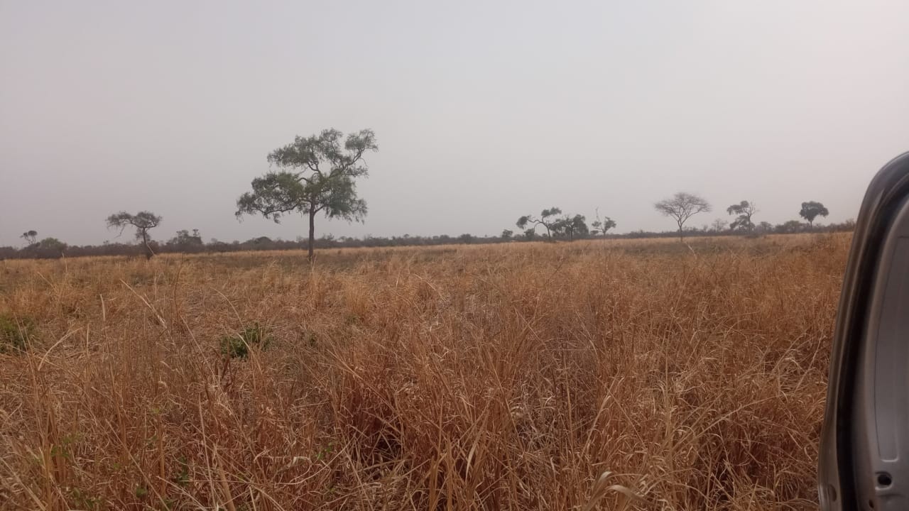 Quinta propiedad agrícola en VentaLinda propiedad  agricola  de 604ha por Pailon Sur, 70km entrando    Foto 16