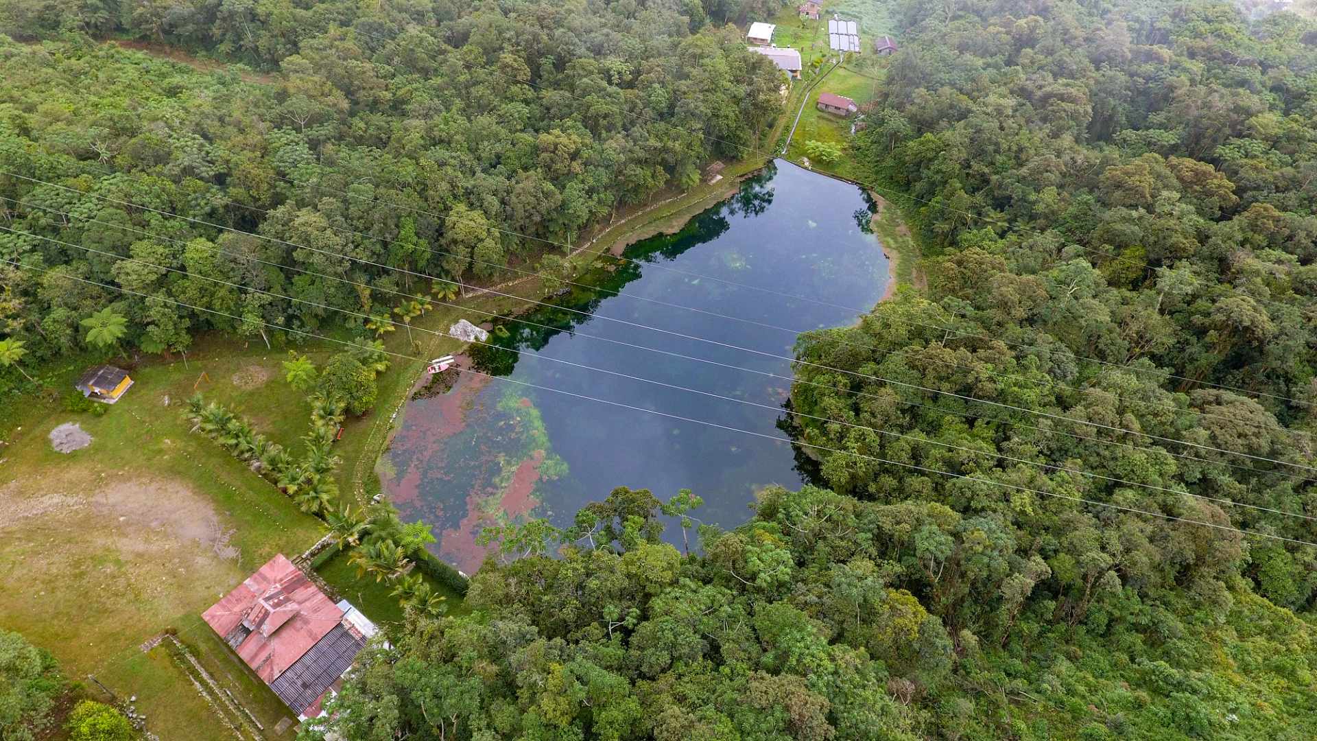 Quinta propiedad agrícola en Villa Tunari (Chapare) en Cochabamba    Foto 1